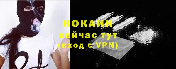 амф Верхний Тагил
