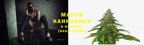 амф Верхний Тагил