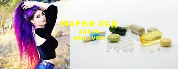 амф Верхний Тагил