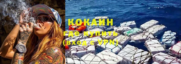 амф Верхний Тагил