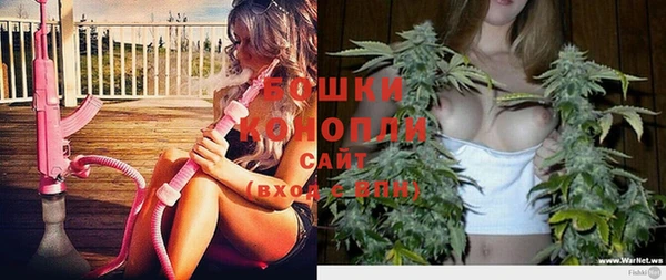 амф Верхний Тагил