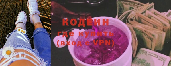 амф Бородино
