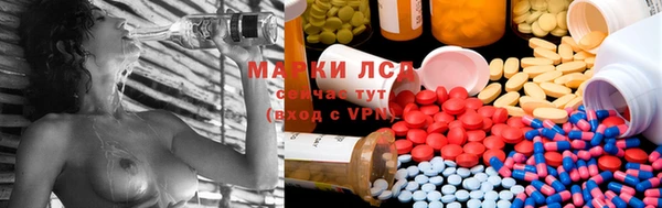 прущие грибы Бугульма