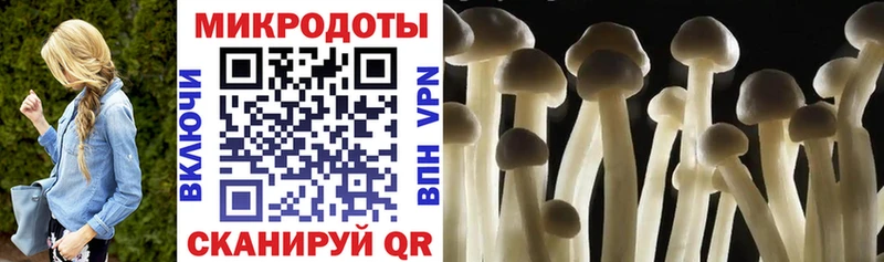 kraken ссылки купить наркотик Юрьевец Галлюциногенные грибы GOLDEN TEACHER